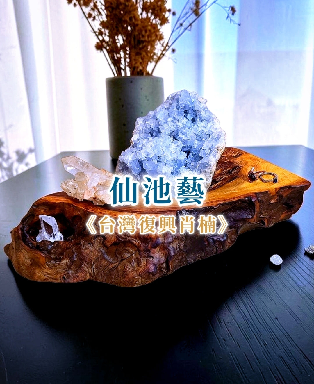 台湾復興肖楠 天然木オブジェディスプレイ「仙池藝」