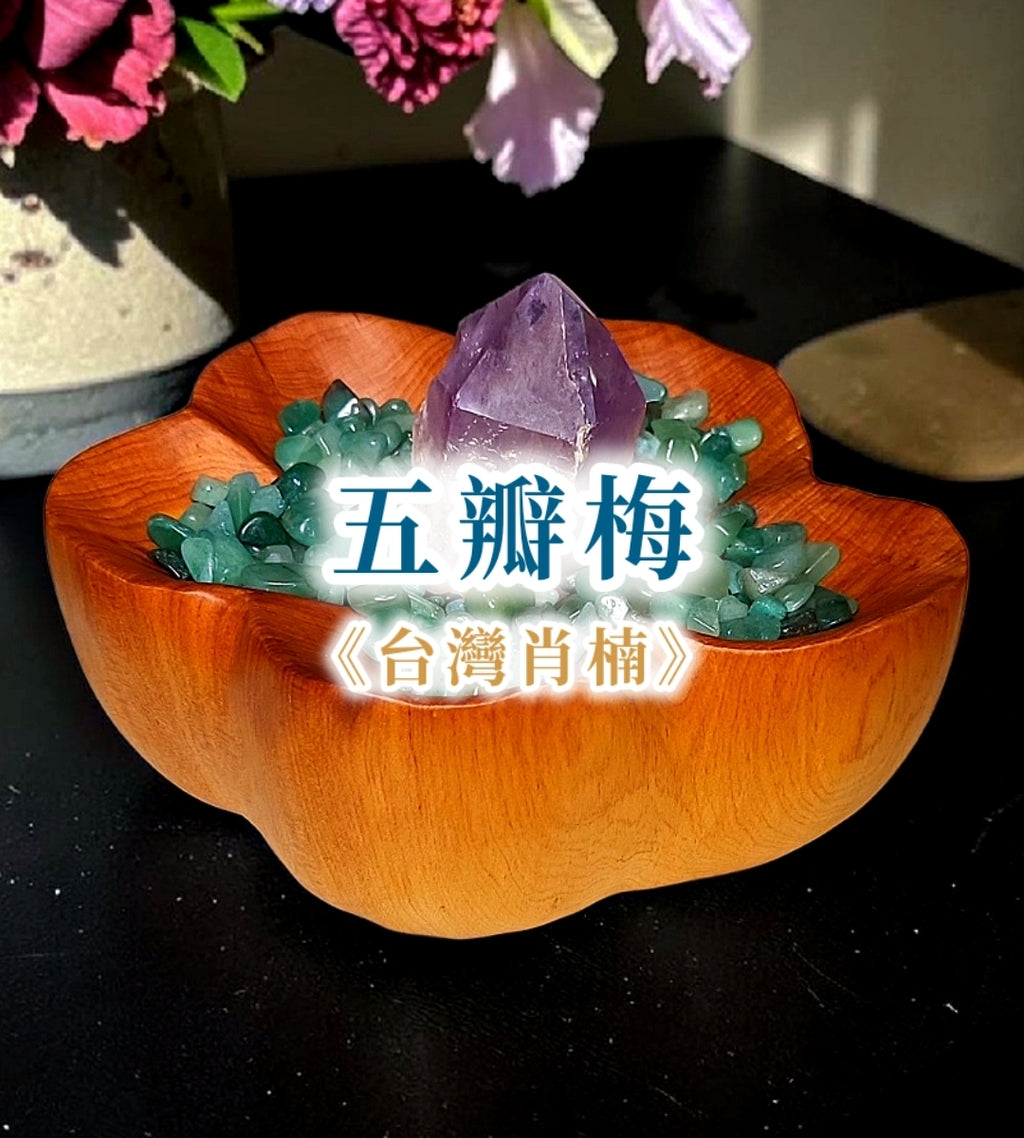 台湾肖楠「五弁梅」