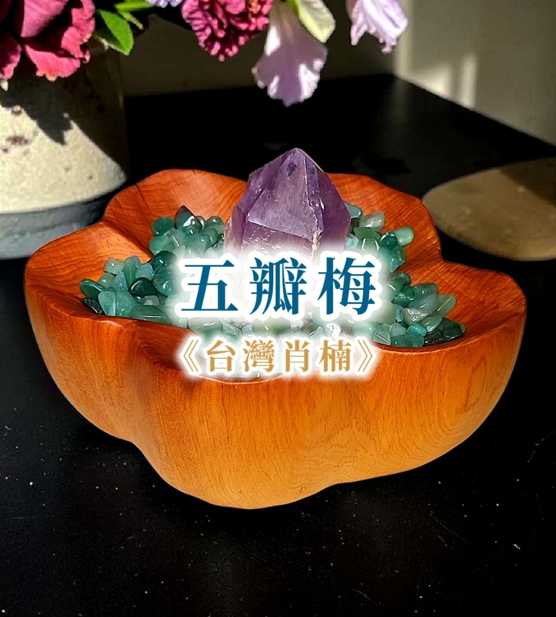 台湾肖楠「五弁梅」